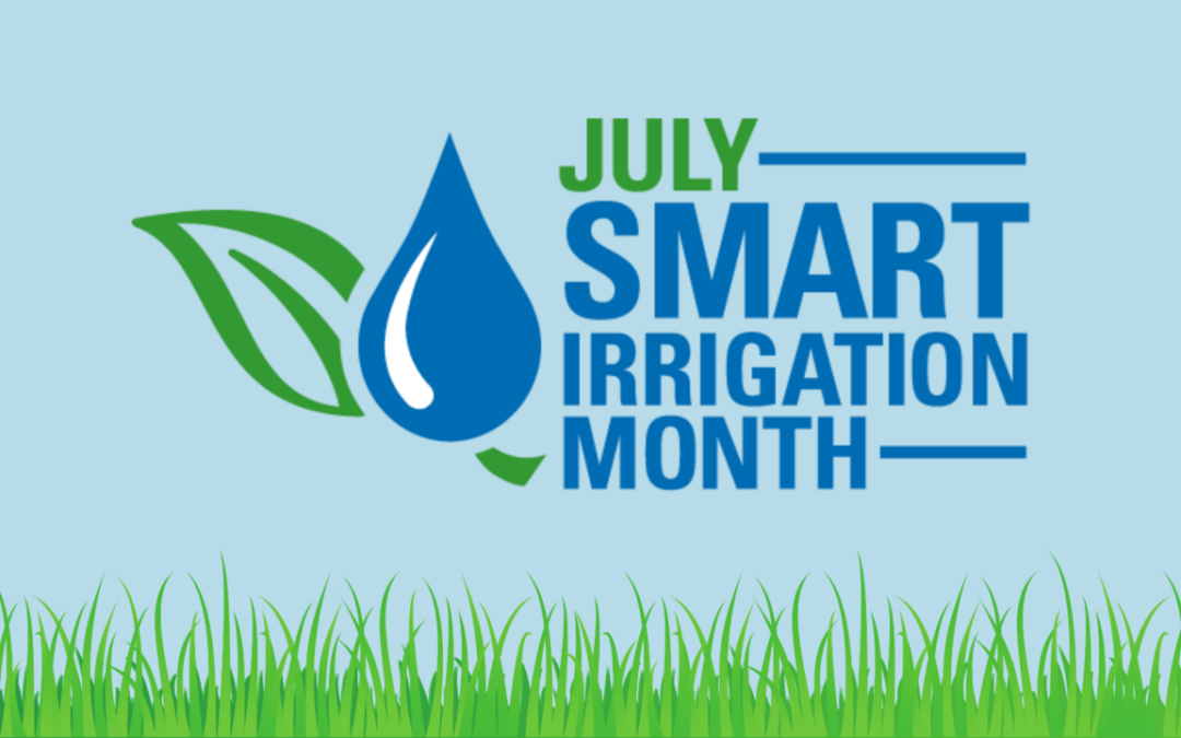 Stars, Stripes, & Water Savings: Celebrate Smart Irrigation Month 