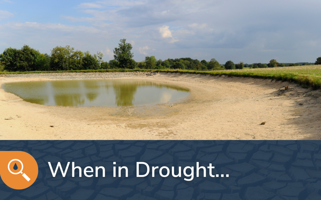 When in Drought…