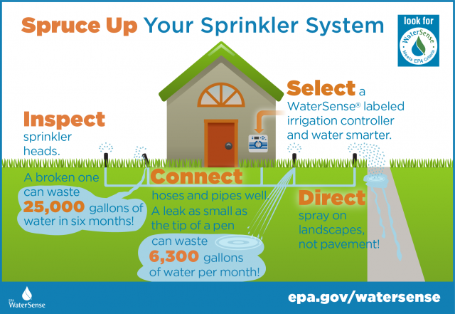 Spruce Up and Save Water Outside