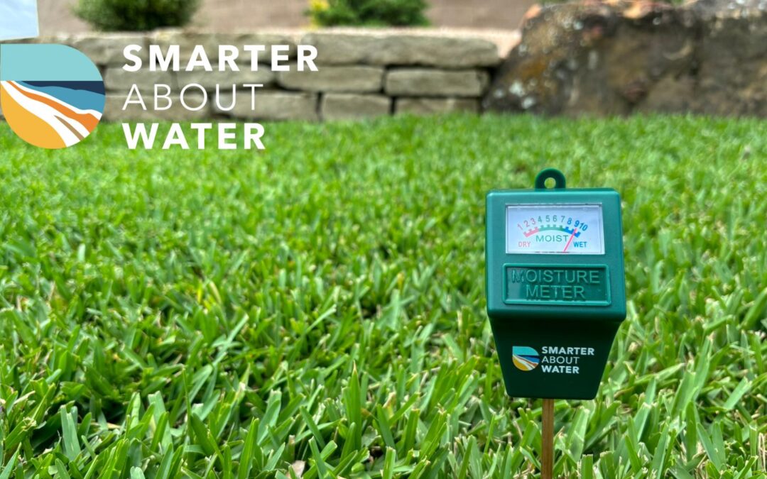 Moisture Meters